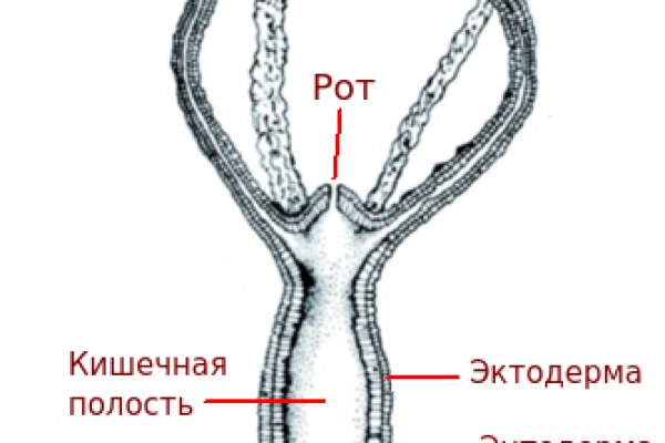 Кракен какой сайт