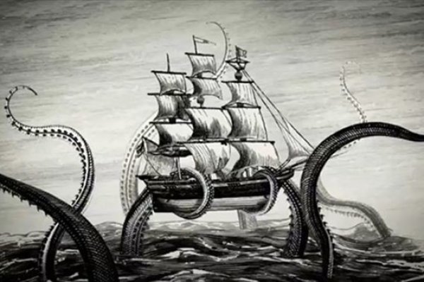 Kraken 17 at net